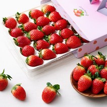 [백화점용/특급포장] 13brix 논산 설향 장희 딸기 특상품 750g 1.5kg, 1. 백화점용/특급포장 13brix 딸기 750g