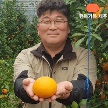 고당도 제주레드향 제주도 최상품 레드향 명절 설 선물세트, 선물용/5kg