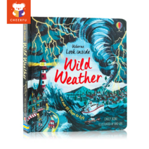 Usborne 플랩북 Look Inside Trains Food 어린이 영어 그림책, Wild Weather
