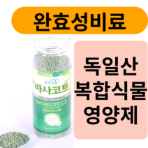식물 곰팡이 살균제 곰팡이약 화분곰팡이제거