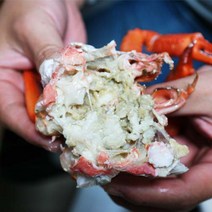 [산지직송] 속초 묵호항 후포항에서 보내드리는 자숙 홍게 2kg, 자숙 일반 2kg