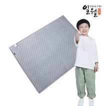 [일월] ☆초특가☆[더블] 에어로실버 전기매트, 상세 설명 참조