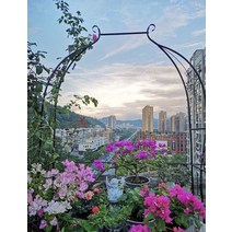 유럽식 철제 넝쿨식물 지지대 아치문 테라스꾸미기 장미 가든 정원, 블랙 폭 120cm개