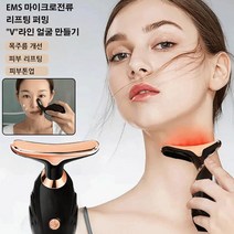 1+1피부 미용기기마사지 미용 기계 갈바닉얼굴마사지기 레이저미용기, 미경의*5