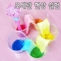5인 모세관 현상 색깔물 옮기기 관찰 실험 사이언스 방과후 재료 교재 제작 조립 에듀 창작 초등학생