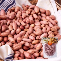 [맛딜]신선하고 고소한 국내산 생땅콩 날땅콩 500g+500g (총1kg), 단품