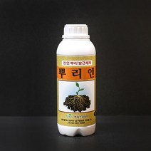 [미래농산] 뿌리앤 1L