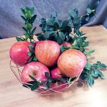 블랙애플 사과유명한곳 안동 충주 청송 꿀 사과 2KG, 부사사과2kg