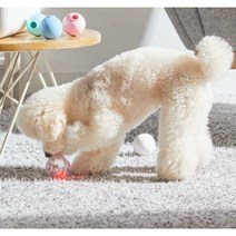 로이코 노즈워크 장난감 공 전용 야광 발광 LED볼 장난감 액세서리, 1개