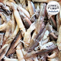 건어물도매몰 국내산 동해 미니 오징어 1kg 한팩, 미니 오징어(10~11미) 1kg 내외