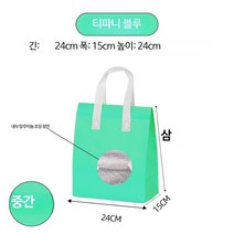 부직포 일회용 디저트 보온백 도시락 100 보냉백 포장, 미디엄민트100pcs