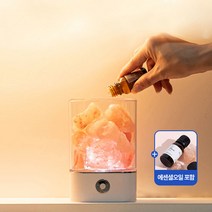 생활백서 잠이솔솔 무드등 디퓨저 본품+에센셜오일 1세트/방향제, 색상:화이트 1개
