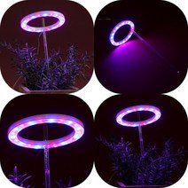 마트498 원형링 헤드형 LED 식물등 레드블루 제라늄키우기 몬스테라키우기 화초등 식테크 식물재배기 식물키우기