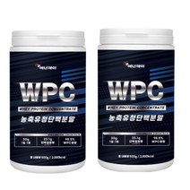WPC 농축유청단백 분말 500g 류신 발린 아르지닌 단백질 쉐이크 보충제 프로틴 미국산 운동직후 운동전후 운동할때 헬스 프로틴 헬스보충제 BACC 근육만들기, 500gx2병