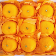 ( 재주문1위 ) 고당도 제주도 황금향 천혜향 프리미엄 선물세트 선물용, 선물용 로얄과 3kg