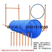 강아지 어질리티 세트 도그 스포츠 애견 허들 점프링 위브폴 폴점핑 실내 실외 훈련용품, E 세트