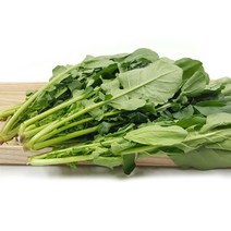 [특급] 루꼴라 500g