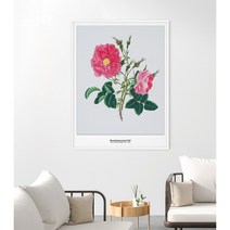 아이엠스톡 인테리어 액자 ﻿Rosa damascena4 장미 023 캔버스액자, 블랙원목