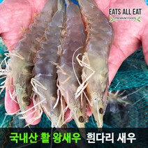 이츠올릿 국내산 활 흰다리 새우 대하 2kg 특사이즈 28-30미 생 왕새우, 1개
