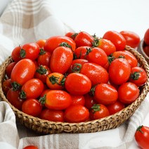 [GAP인증] 당일수확 달콤한 스테비아 대추 방울토마토, 스테비아 대추 방울토마토 1kg(500g*2팩), 2개