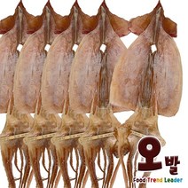 [오발] 국내산 마른오징어 5마리 x1봉, 250g