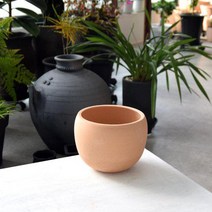 더플라워포터리 미니단지 13x10cm 산청토 토분