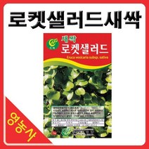 새싹로켓셀러드씨앗- 새싹무순 로켓셀러드씨 새싹씨앗 싹채소키우기 어린채소씨앗 학습용 사계절용 재배, 베이비적오크