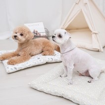 사계절용 꿀잠 순면 강아지방석 매트, 플라워그레이