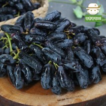 껍질까지 한입에 간편하게 씨없는 블랙사파이어 포도 2kg 내외, 단품