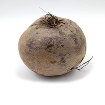 야채왕 비트1개