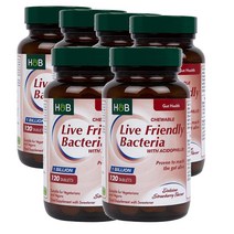 영국 홀랜드앤바렛 Holland & Barrett 라이브 프랜디 박테리아 10억 with 애시도필러스 유산균 120정, 6팩