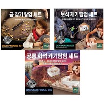 디스커버리 공룡화석 캐기 탐험세트/금찾기 탐험세트/보석 캐기 탐험세트, 디스커버리-금 찾기 탐험 세트