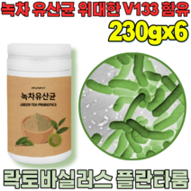 꼼꼼한 검수 통과한 자연이 주는 선물 락토 바실러스 플란 타룸 녹차 유산균 프락토 올리고당 위대한 V 133 녹자 우산균 위산균 유신균 프로바이오틱 가루 파우더 분말 파는곳 추천, 6
