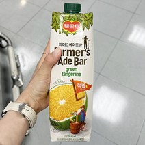 파머스 에이드 청귤 1L x 2개_보냉백포장, 아이스보냉백포장