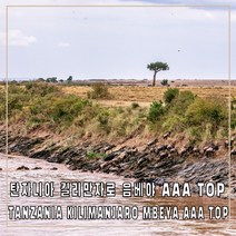 (커피생두) 89 탄자니아 킬리만자로 음베야 AAA TOP 1kg