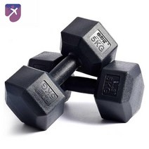 헬스장비 헬스용품 헬스장 고무덤벨 고무아령, 【인핸스먼트】육각 아령, 2.5kg 한 마리