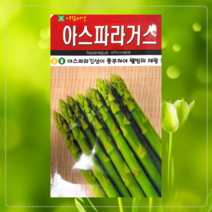 아스파라거스 브로콜리 셀러리 파슬리 미니양배추 방울 스테비아 바질 공심채 고수 루꼴라 비타민채 청경채 곰보 텃밭 주말농장
