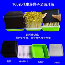 집에서 콩나물 키우기 세트 키트 보리싹 재배기 편리한 자동관수 저면관수 기르기 키우는 법, 4세트 박스 업그레이드