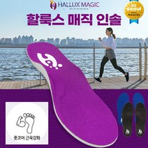 [국내총판] 할룩스 매직인솔 기능성 평발 족저근막 깔창 에어인솔 2세트, 바이올렛 L (255~265), 코발트블루 M (240~250)