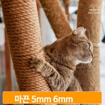 고양이 장난감 만들기재료 마끈 로프 캣타워 공예 미술재료 마크라메 5/6mm, 마끈 6mm (24합)