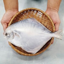 신안 손질 생물 병어 대 특대 왕특 내장제거 비늘제거 병어회 제수용, 대 사이즈 1미(450g-510g)