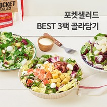 포켓샐러드 BEST 3팩 밀키트 채소 야채 샐러드 배달 도시락, 19.불고기1+숯불갈비1+훈제오리1, 3개