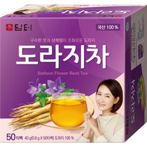 담터 도라지차 티백 50T