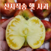 [산지 직송] 햇 부사 사과 새콤 달콤 과즙 팡팡, 1.가정용 3KG  중소과 (11-15과)