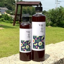 농부프린스 개복숭아청 개복숭아효소 진액 원액 300ml, 글로벌트레이딩센터 쿠팡 1, 글로벌트레이딩센터 쿠팡 300ml, 글로벌트레이딩센터 쿠팡 본상품선택