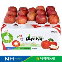경북 영양농협 사과 상품 10kg 60과내외꼬마, 단품