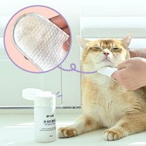 바이랩 캣피지클리너 고양이 턱드름 제거 블랙헤드 여드름 관리 티슈 세정제, 1세트