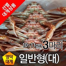 영덕대게 일반형 대(10cm~11cm) 3마리 찜배송
