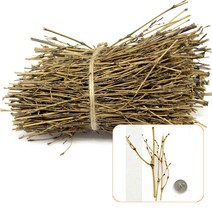 [동화오피스] 대량 나무조각 - 나무만들기 솔방울 나뭇가지, No.30번