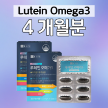 오메가3 루테인 하루 1캡슐 오메가쓰리 누테인 베타카로틴 혈액순환 혈행건강 40대 직장인 회사원 엄마 아빠 부모님 눈침침 눈촉촉 팔저림 야식 폭식 편식 야근 회식 건강 케어 관리, 4 개월분, 1100mg x 60캡슐 (하루 1캡슐)